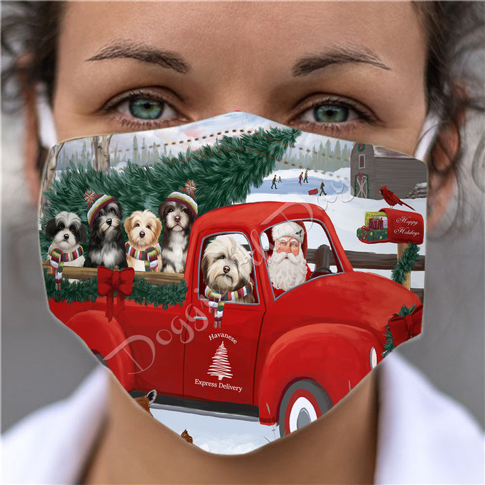 Christmas Santa Express Delivery Red Truck Havanese Dogs Face Mask FM48447