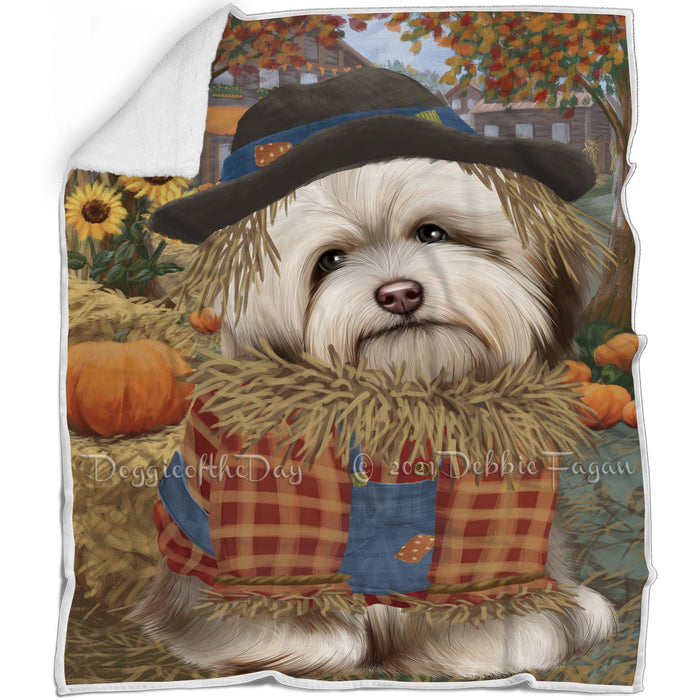 Halloween 'Round Town And Fall Pumpkin Scarecrow Both Havanese Dogs Blanket BLNKT139538