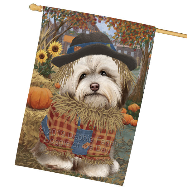 Halloween 'Round Town And Fall Pumpkin Scarecrow Both Havanese Dogs House Flag FLG65720