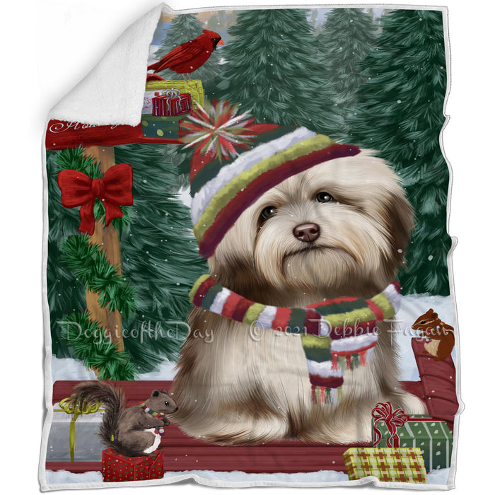 Merry Christmas Woodland Sled Havanese Dog Blanket BLNKT113952
