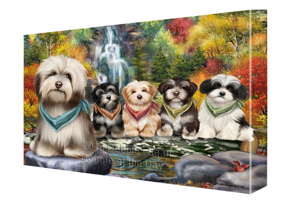 Scenic Waterfall Havanese Dogs Canvas Wall Art CVS60573