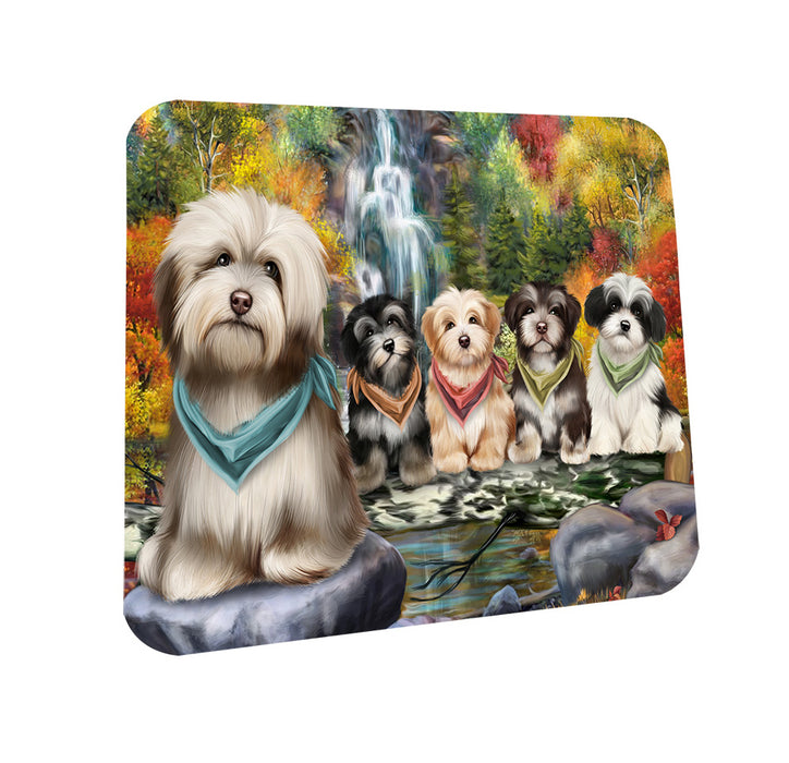 Scenic Waterfall Havanese Dogs Coasters Set of 4 CST49399