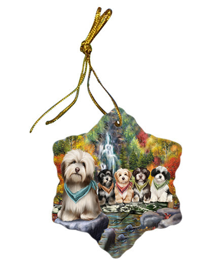 Scenic Waterfall Havanese Dogs Star Porcelain Ornament SPOR49466