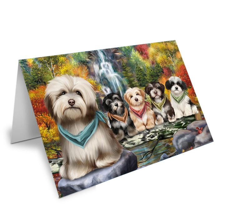 Scenic Waterfall Havanese Dogs Handmade Artwork Assorted Pets Greeting Cards and Note Cards with Envelopes for All Occasions and Holiday Seasons GCD52349