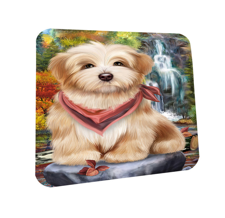 Scenic Waterfall Havanese Dog Coasters Set of 4 CST49401