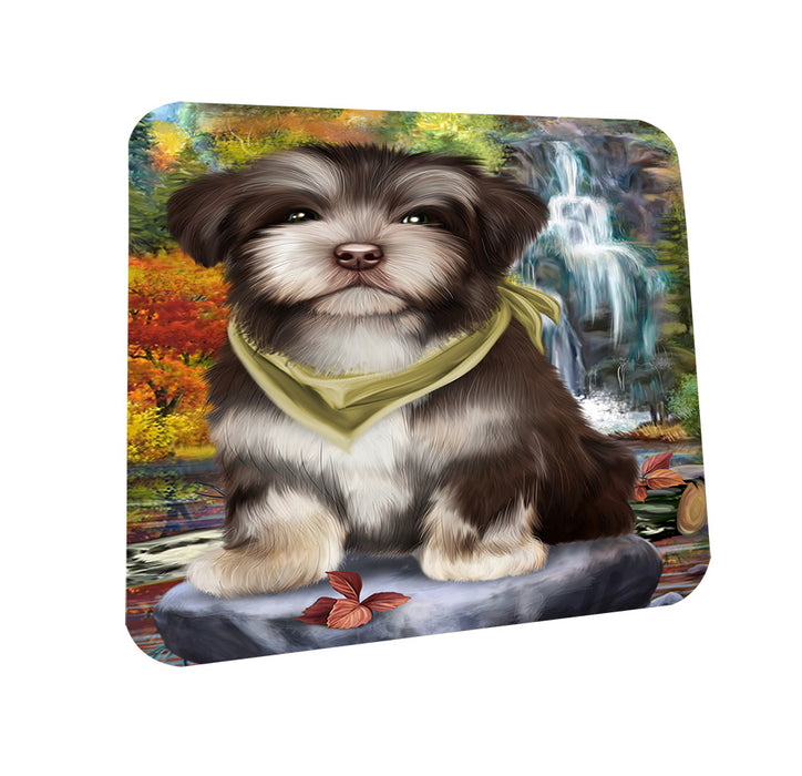 Scenic Waterfall Havanese Dog Coasters Set of 4 CST49402