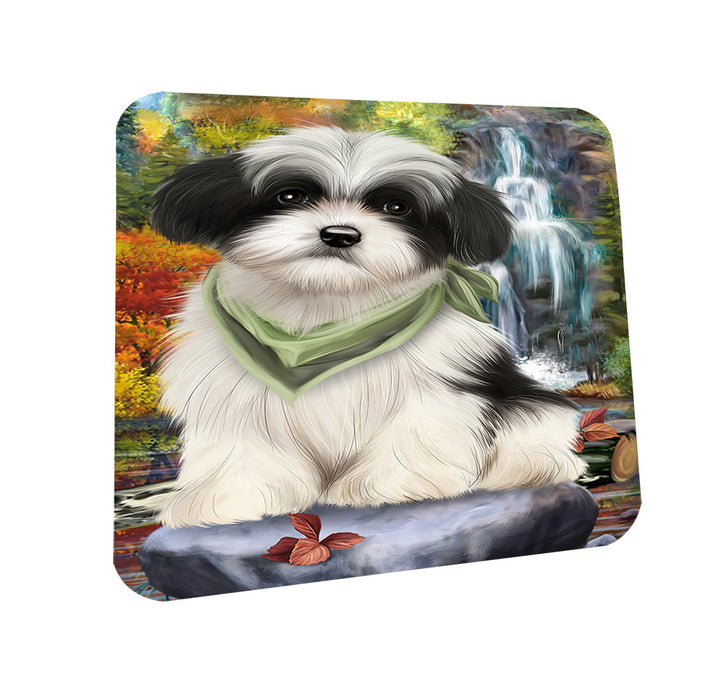 Scenic Waterfall Havanese Dog Coasters Set of 4 CST49403