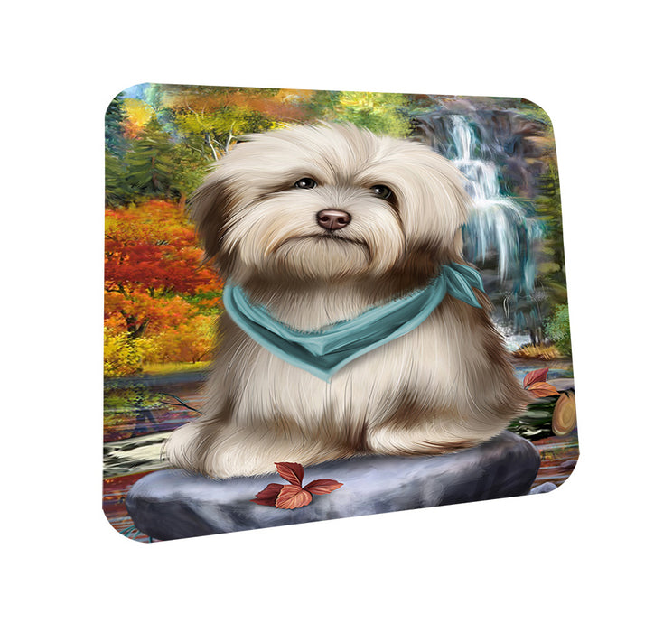 Scenic Waterfall Havanese Dog Coasters Set of 4 CST49404