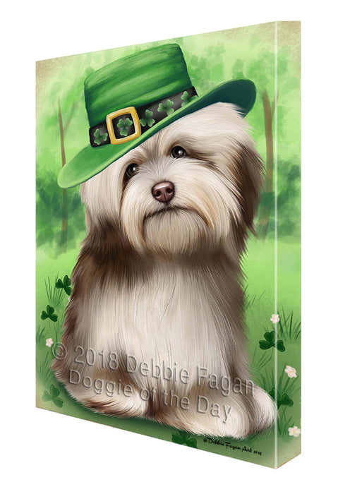St. Patricks Day Irish Portrait Havanese Dog Canvas Wall Art CVS54948