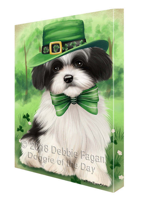 St. Patricks Day Irish Portrait Havanese Dog Canvas Wall Art CVS54975