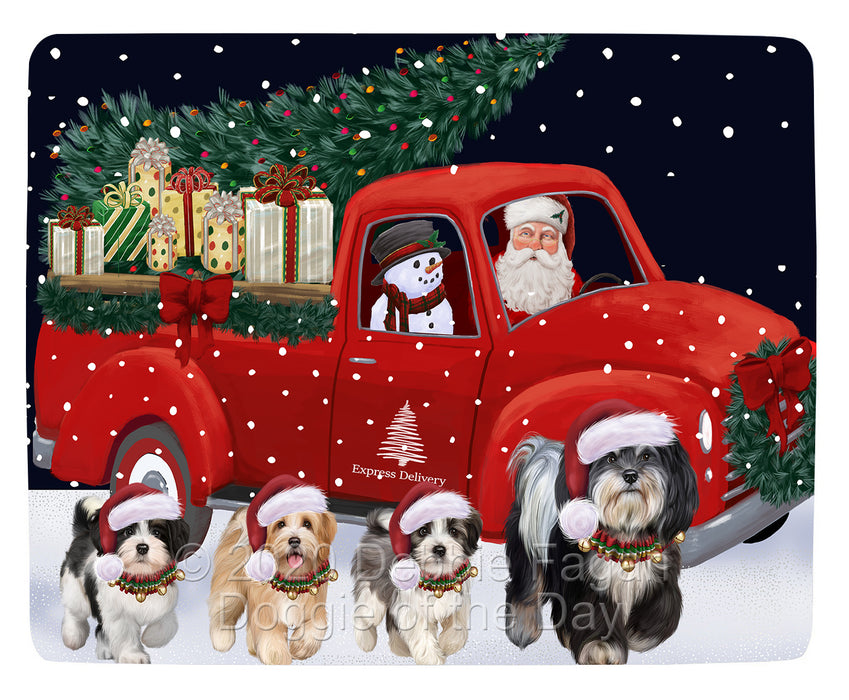 Christmas Express Delivery Red Truck Running Havanese Dogs Blanket BLNKT141838
