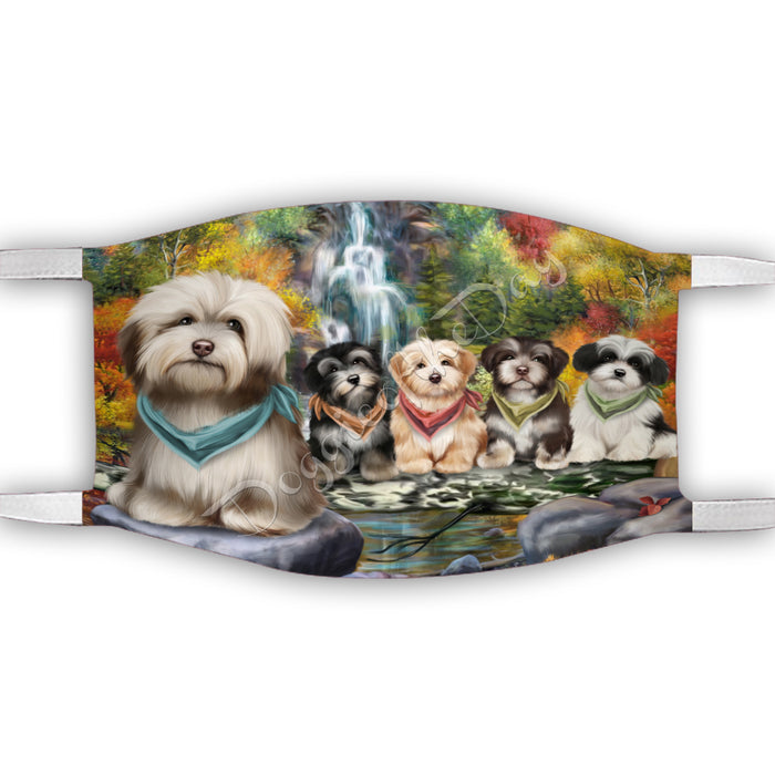 Scenic Waterfall Havanese Dogs Face Mask FM49308