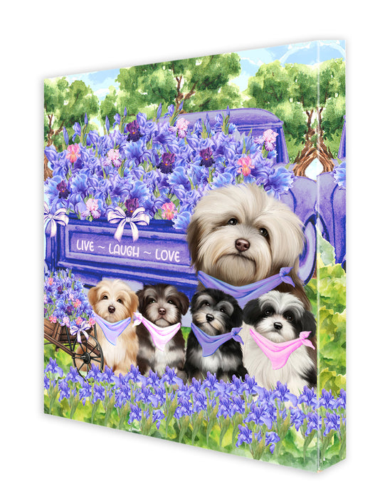Havanese Canvas: Explore a Variety of Designs, Digital Art Wall Painting, Personalized, Custom, Ready to Hang Room Decoration, Gift for Pet & Dog Lovers