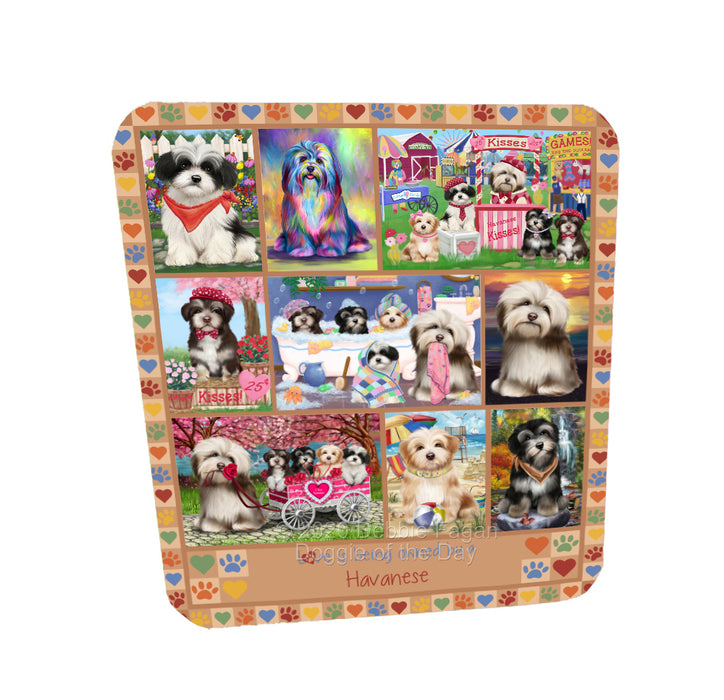 Love is Being Owned Havanese Dog Beige Coasters Set of 4 CSTA57791