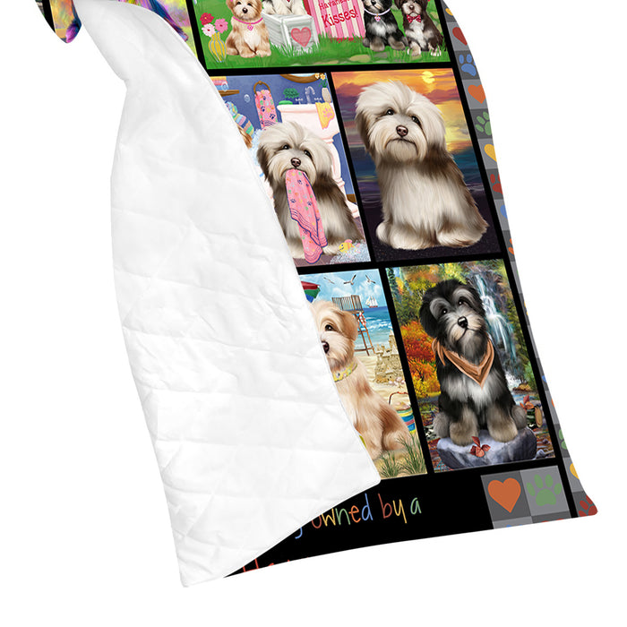 Love is Being Owned Havanese Dog Grey Quilt