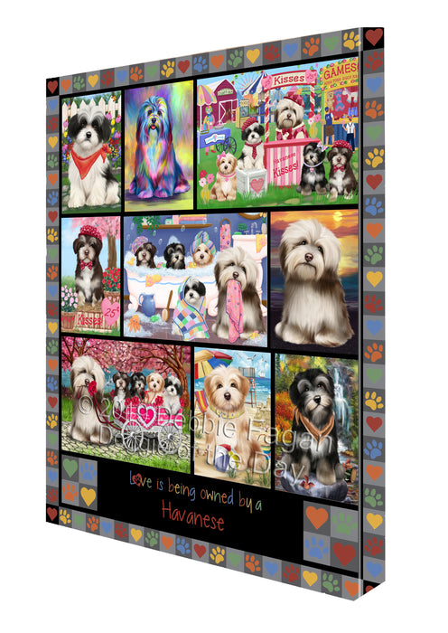 Love is Being Owned Havanese Dog Grey Canvas Print Wall Art Décor CVS138131