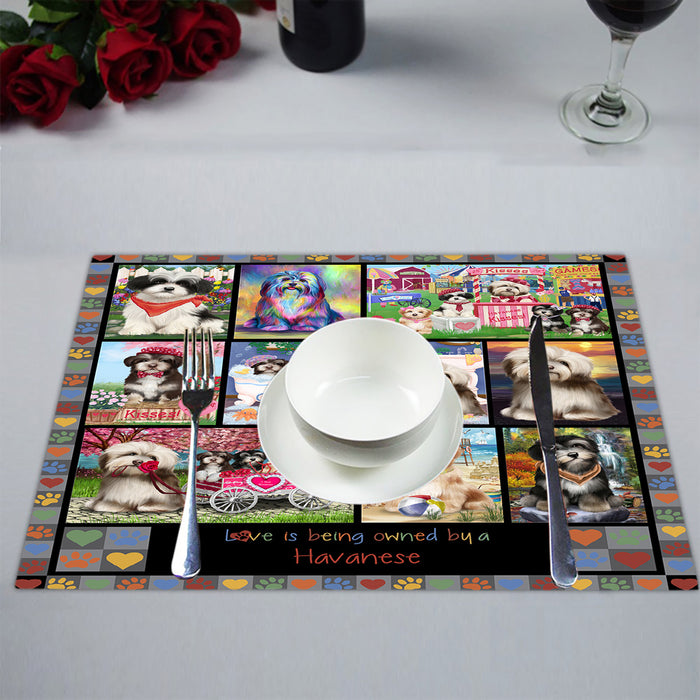 Love is Being Owned Havanese Dog Grey Placemat