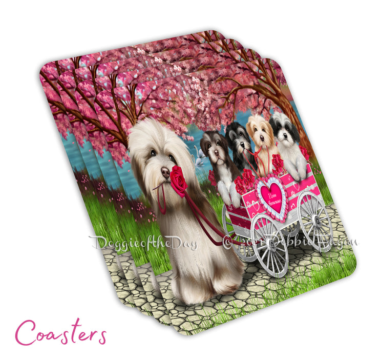 Mother's Day Gift Basket Havanese Dogs Blanket, Pillow, Coasters, Magnet, Coffee Mug and Ornament