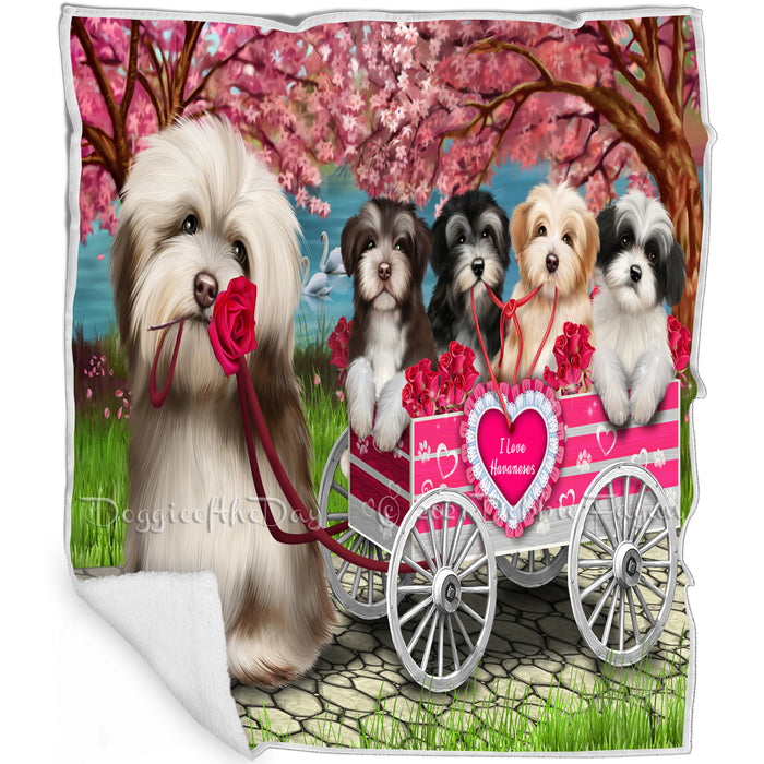 I Love Havanese Dogs in a Cart Blanket BLNKT49314