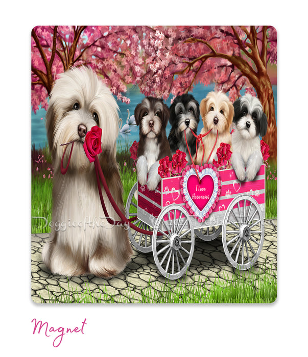 Mother's Day Gift Basket Havanese Dogs Blanket, Pillow, Coasters, Magnet, Coffee Mug and Ornament