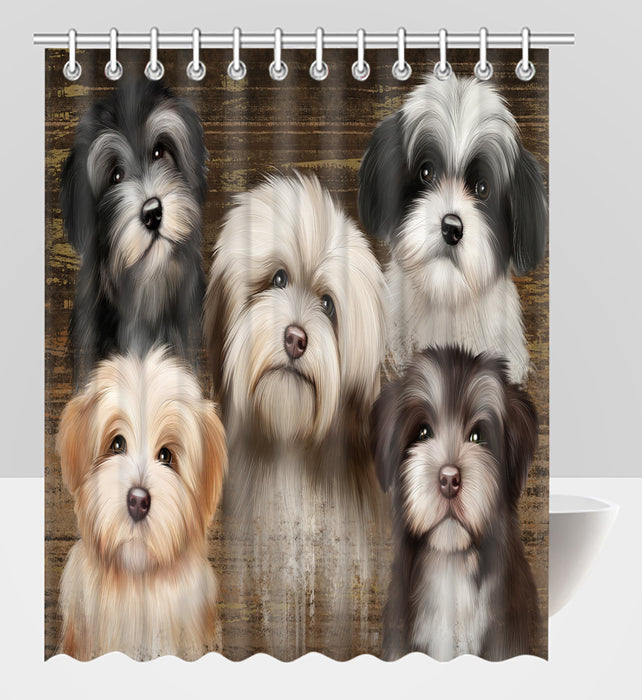 Rustic Havanese Dogs Shower Curtain