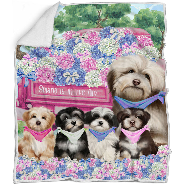 Havanese Bed Blanket, Explore a Variety of Designs, Personalized, Throw Sherpa, Fleece and Woven, Custom, Soft and Cozy, Dog Gift for Pet Lovers