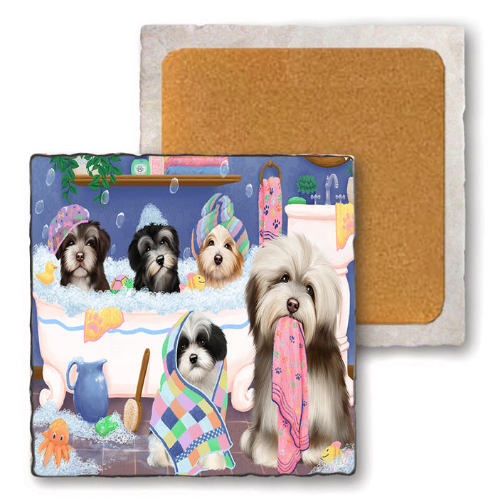 Rub A Dub Dogs In A Tub Havaneses Dog Set of 4 Natural Stone Marble Tile Coasters MCST51795