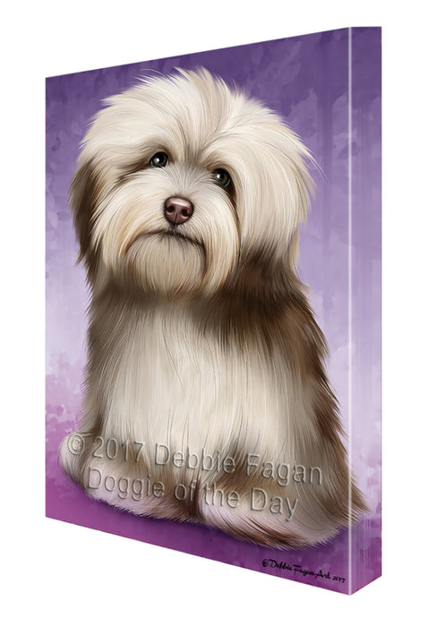 Havanese Dog Canvas Wall Art CVS51105