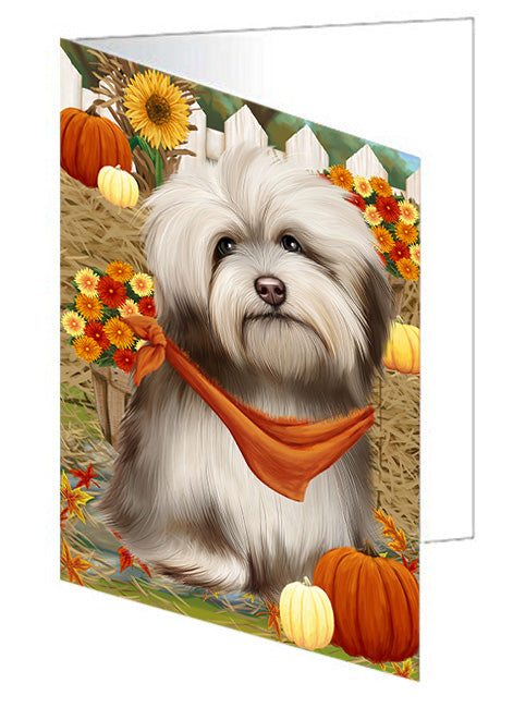 Fall Autumn Greeting Havanese Dog with Pumpkins Handmade Artwork Assorted Pets Greeting Cards and Note Cards with Envelopes for All Occasions and Holiday Seasons GCD56315