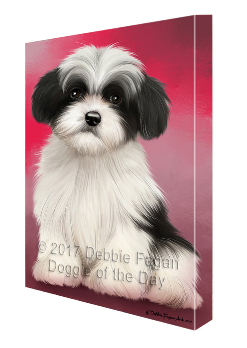 Havanese Dog Canvas Wall Art CVS51114