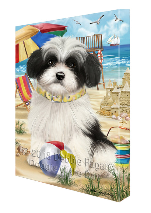 Pet Friendly Beach Havanese Dog Canvas Wall Art CVS52959
