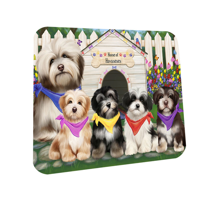 Spring Dog House Havaneses Dog Coasters Set of 4 CST49850