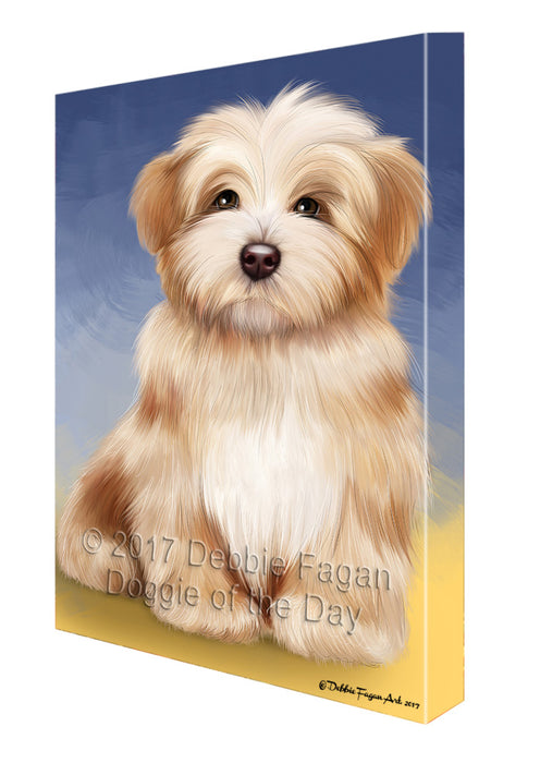 Havanese Dog Canvas Wall Art CVS51132