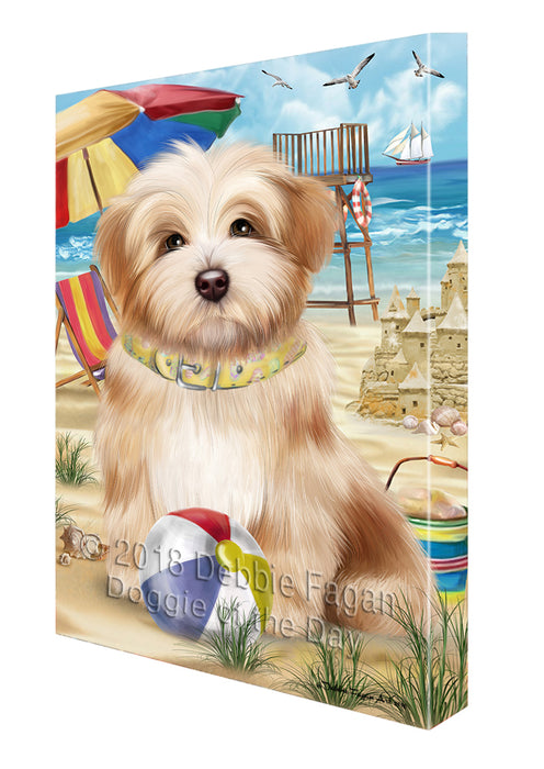 Pet Friendly Beach Havanese Dog Canvas Wall Art CVS52977