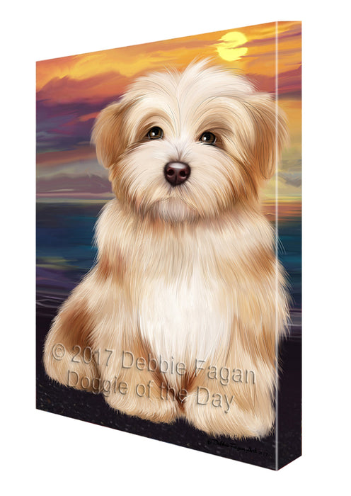 Havanese Dog Canvas Wall Art CVS51996