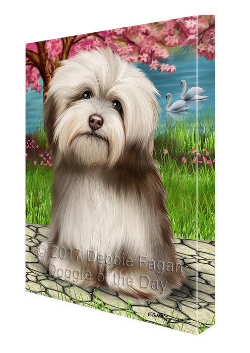 Havanese Dog Canvas Wall Art CVS52023