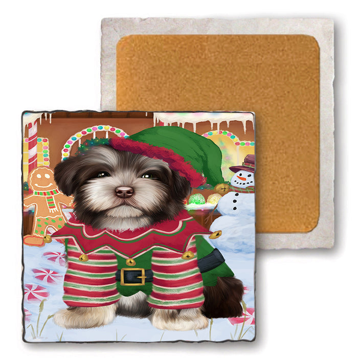 Christmas Gingerbread House Candyfest Havanese Dog Set of 4 Natural Stone Marble Tile Coasters MCST51358