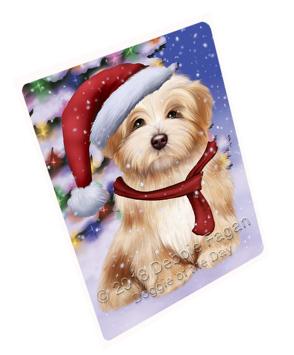 Winterland Wonderland Havanese Dog In Christmas Holiday Scenic Background  Blanket BLNKT97905