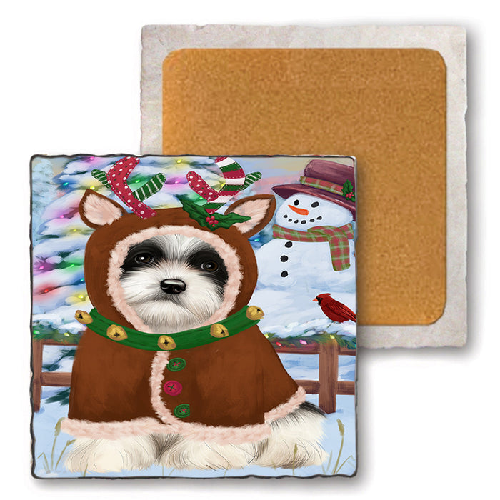 Christmas Gingerbread House Candyfest Havanese Dog Set of 4 Natural Stone Marble Tile Coasters MCST51359