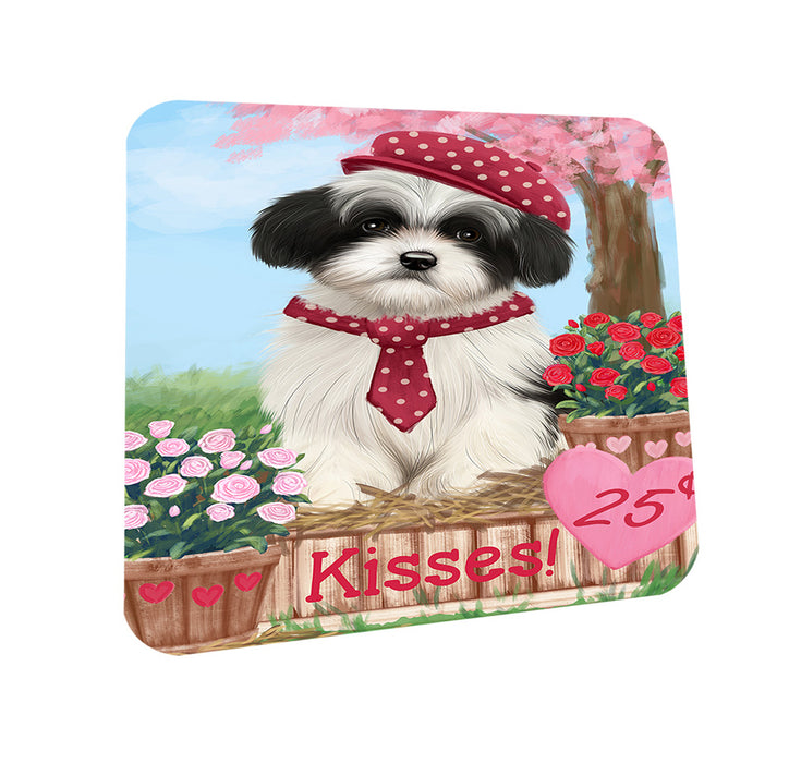 Rosie 25 Cent Kisses Havanese Dog Coasters Set of 4 CST55845