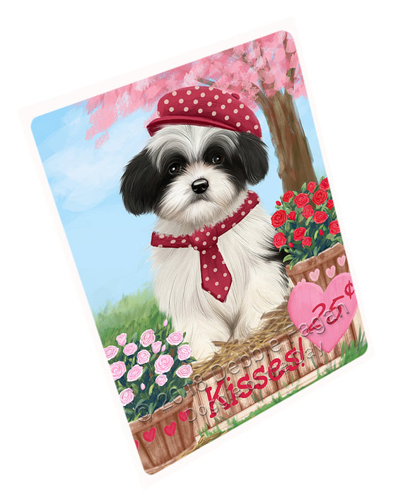 Rosie 25 Cent Kisses Havanese Dog Magnet MAG72798 (Small 5.5" x 4.25")