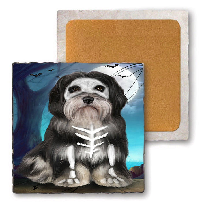 Happy Halloween Trick or Treat Havanese Dog Set of 4 Natural Stone Marble Tile Coasters MCST49502