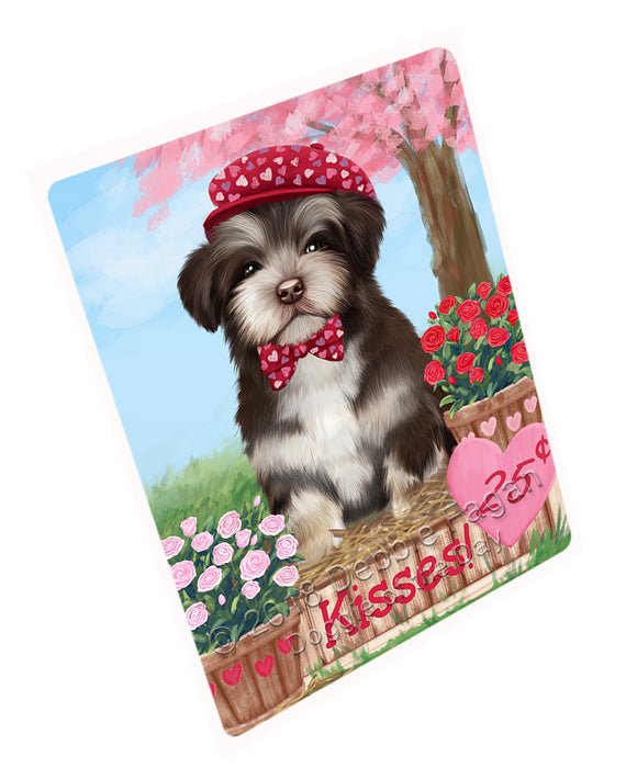 Rosie 25 Cent Kisses Havanese Dog Magnet MAG72801 (Small 5.5" x 4.25")