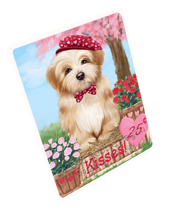 Rosie 25 Cent Kisses Havanese Dog Magnet MAG72804 (Small 5.5" x 4.25")