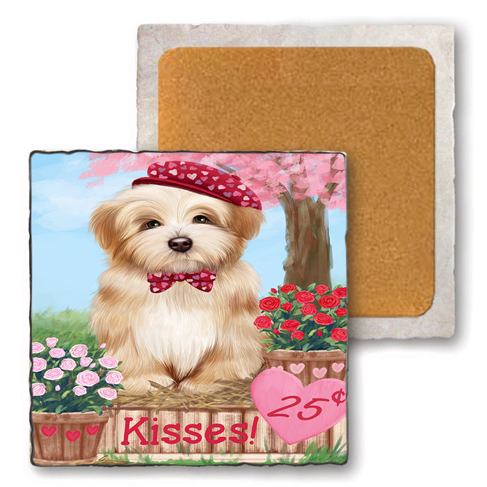 Rosie 25 Cent Kisses Havanese Dog Set of 4 Natural Stone Marble Tile Coasters MCST50889