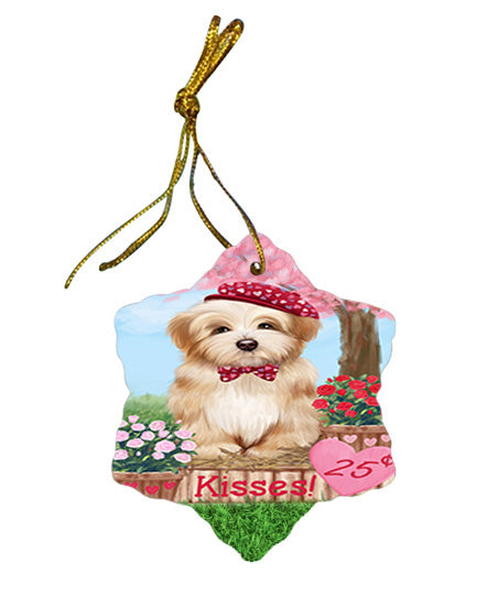 Rosie 25 Cent Kisses Havanese Dog Star Porcelain Ornament SPOR56245