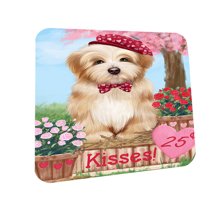 Rosie 25 Cent Kisses Havanese Dog Coasters Set of 4 CST55847