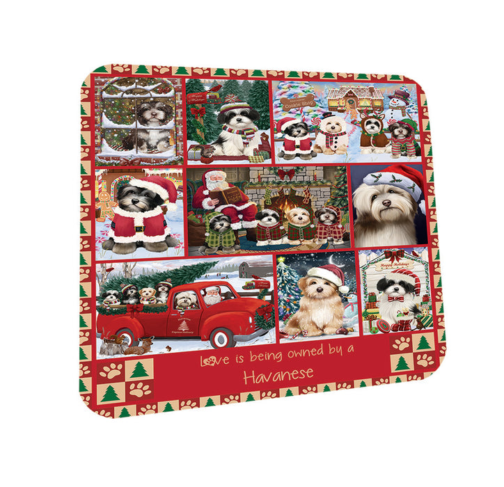 Love is Being Owned Christmas Havanese Dogs Coasters Set of 4 CST57189