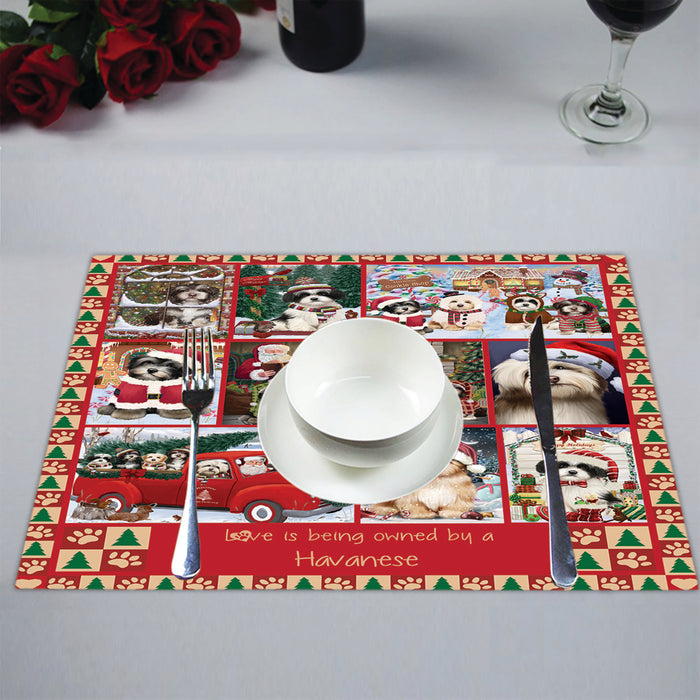 Love is Being Owned Christmas Havanese Dogs Placemat