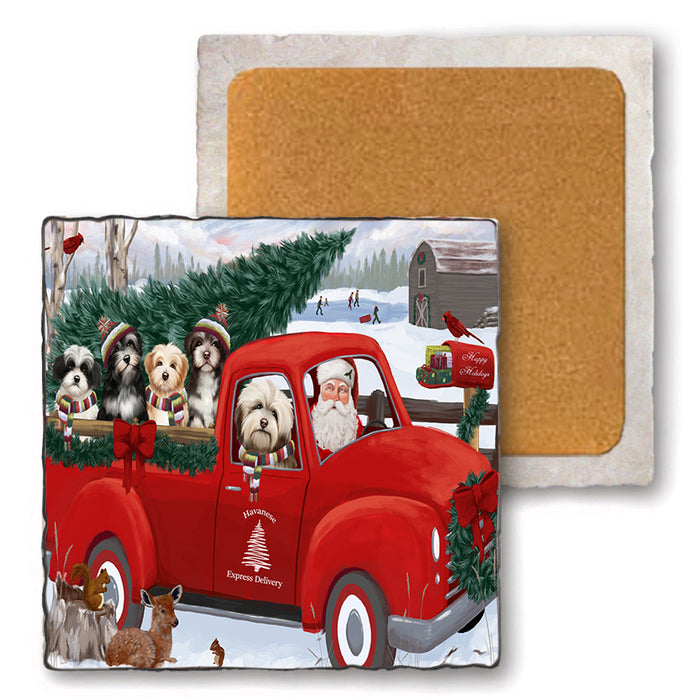 Christmas Santa Express Delivery Havaneses Dog Family Set of 4 Natural Stone Marble Tile Coasters MCST50042